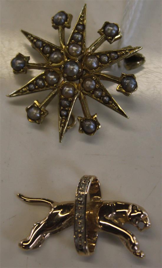 Star brooch and leopard pendant